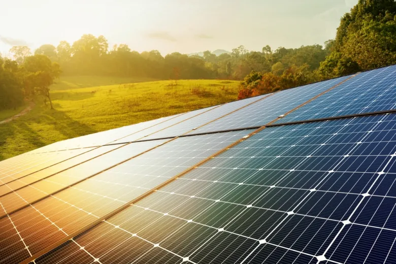 Fotovoltaické panely na trávníku při slunečním svitu.