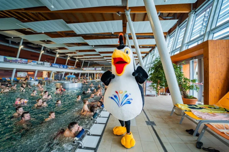 Panda maskot stojí u bazénu plavců v brněnském aquaparku.