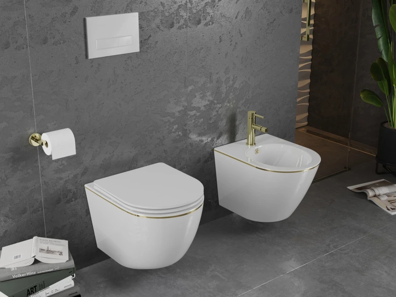 Zobrazuje bílý nástěnný záchod s umyvadlem pro bidet v koupelně.