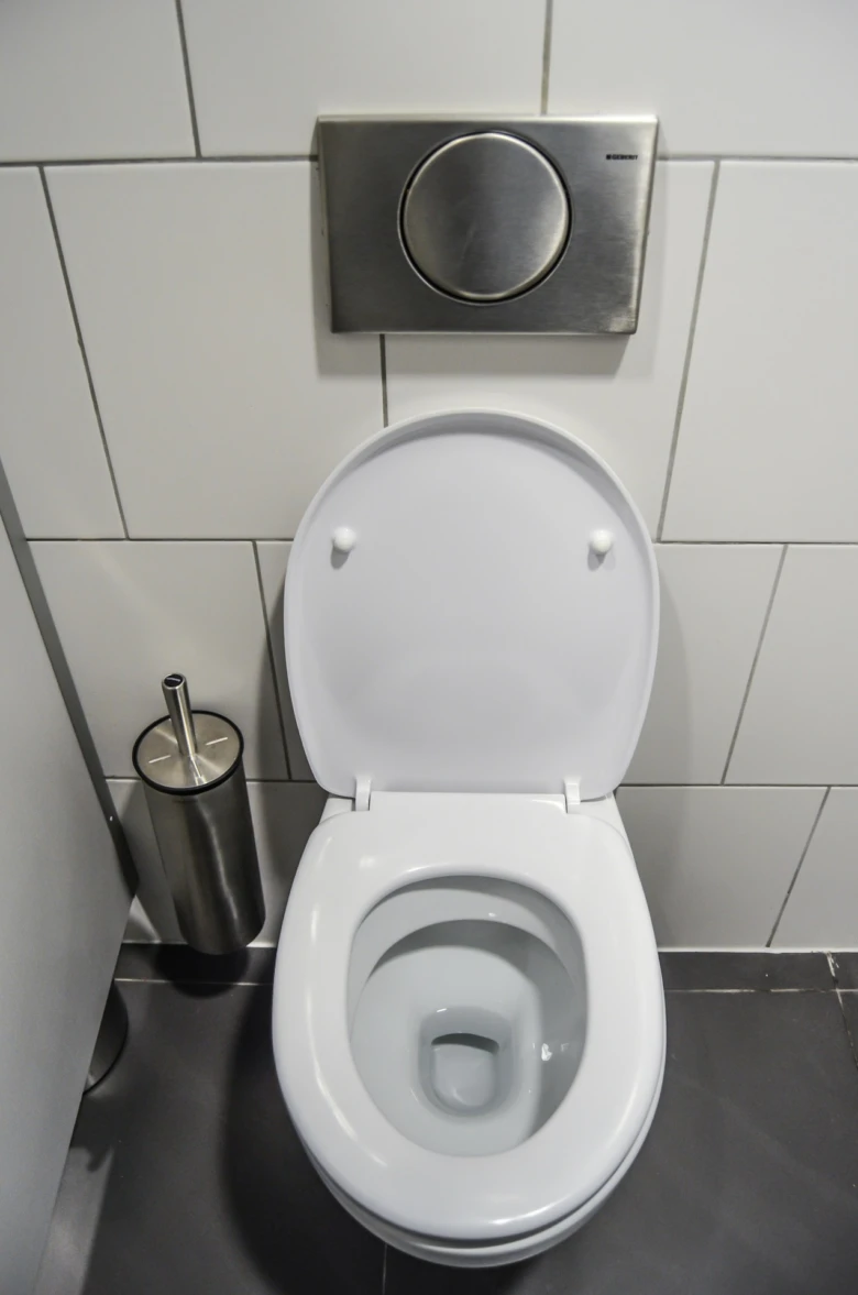 Bílá záchodová mísa s ovladačem splachování a držákem na štětec.