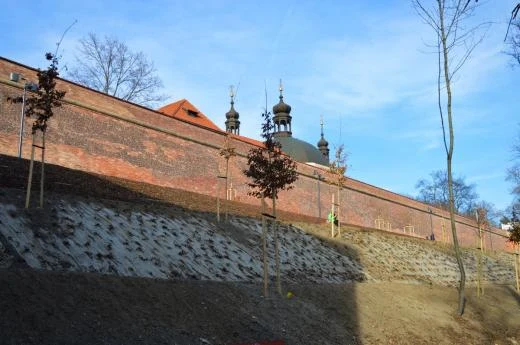 Stará cihlová hradba s mladými stromky v zahradní architektuře.
