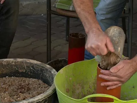 Ruční lisování dřevěných briket z pilin do formy