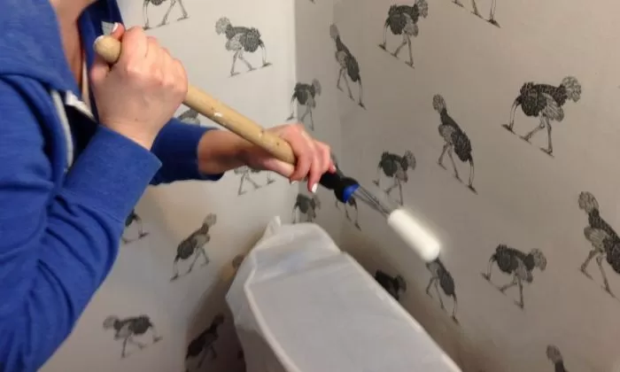 Person painting wall with roller